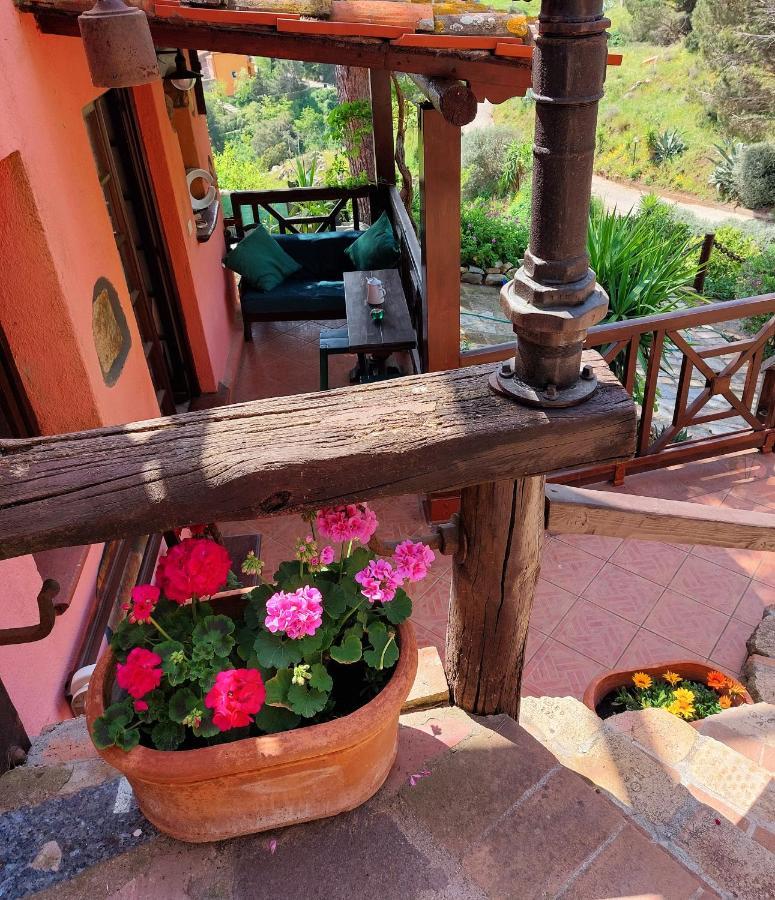 Villetta Dei Fichi D'India Rio dellʼElba 외부 사진