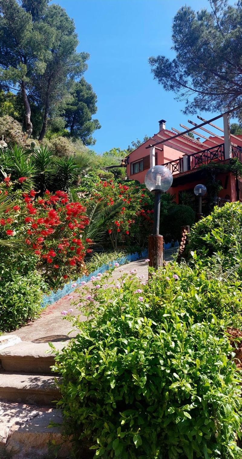 Villetta Dei Fichi D'India Rio dellʼElba 외부 사진
